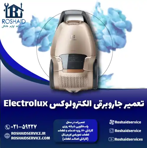 تعمیر جاروبرقی الکترولوکس
